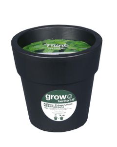 Kit menthe à faire pousser en pot 24 cm anthracite