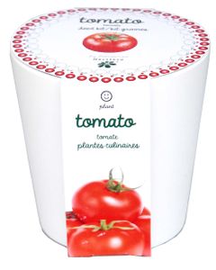 Tomates à faire pousser en pot 12 cm céramique blanc